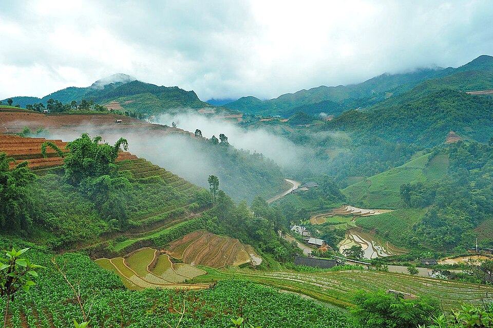 Núi rừng Tây Bắc trong sương